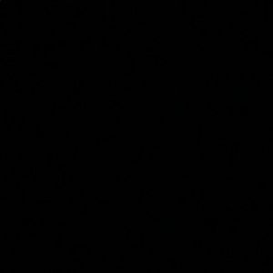 Meet your Posher, Jerry